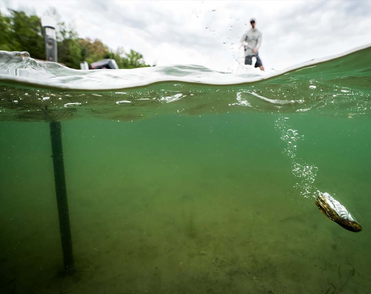 Z-Man Llama TubeZ Jigheads